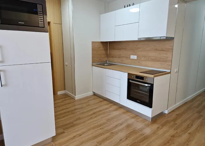 Promenada Sea View With Private Parking Navodari